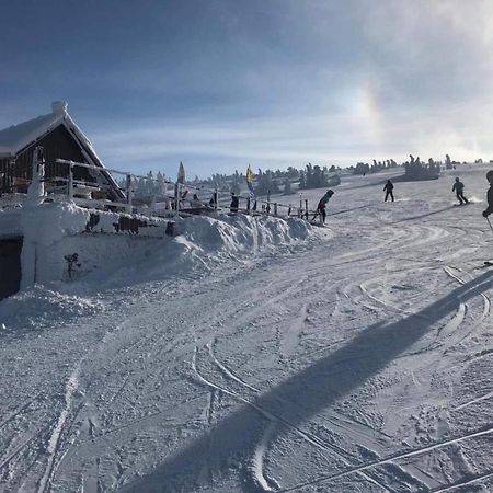 Schronisko Pttk Hala Szrenicka Hostel Szklarska Poreba Luaran gambar