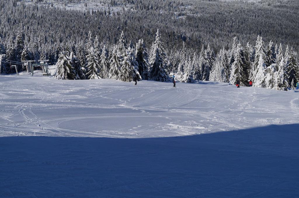 Schronisko Pttk Hala Szrenicka Hostel Szklarska Poreba Bilik gambar